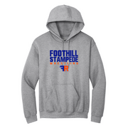 Foothill 2024 wrestling Cotton Hoodie