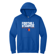 Foothill 2024 wrestling Cotton Hoodie