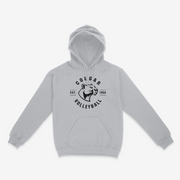 Albany Volleyball Cotton Hoodie